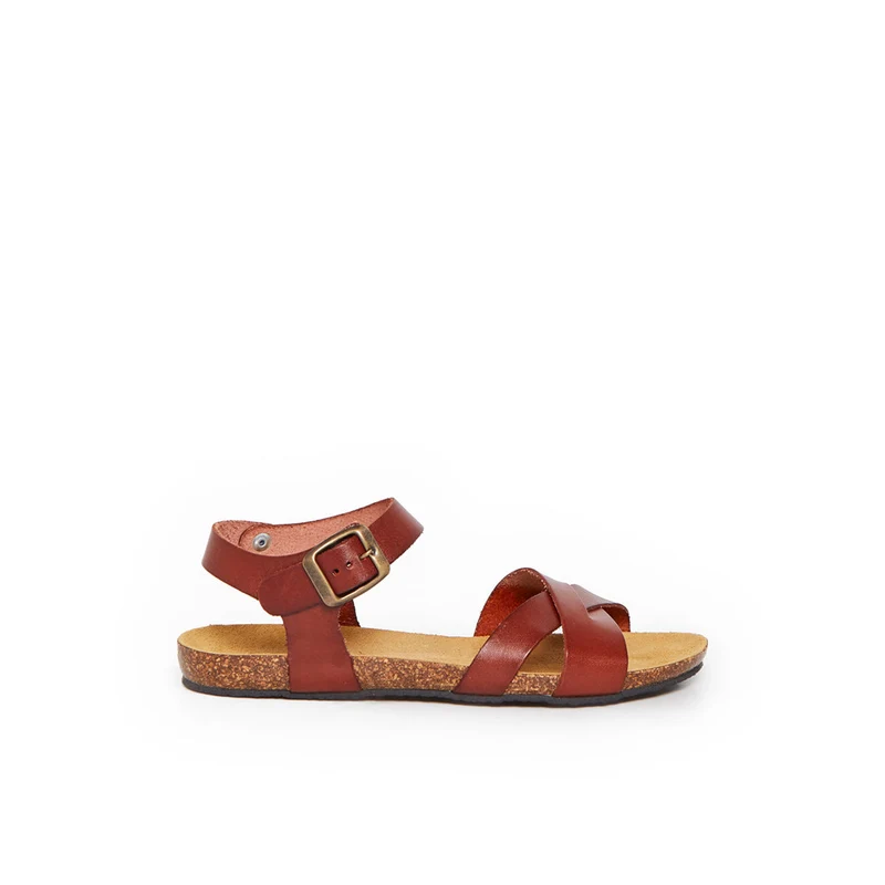 BRIHAT CAMEL