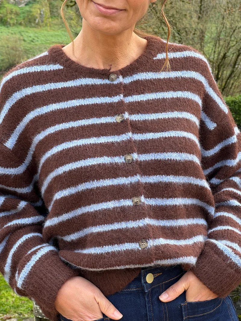 Gilet motif rayé bleu ciel chocolat col rond MELISSA
