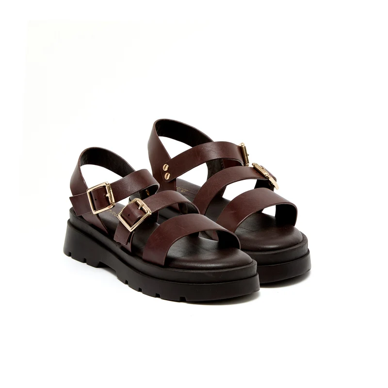 ADONIS MARRON CHOCOLAT