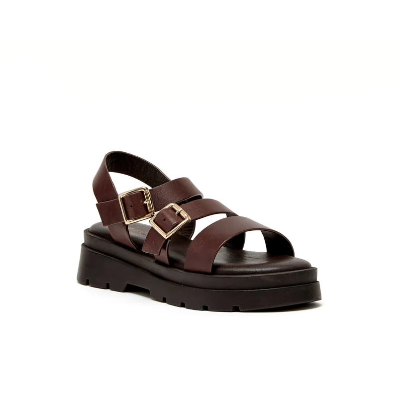 ADONIS MARRON CHOCOLAT