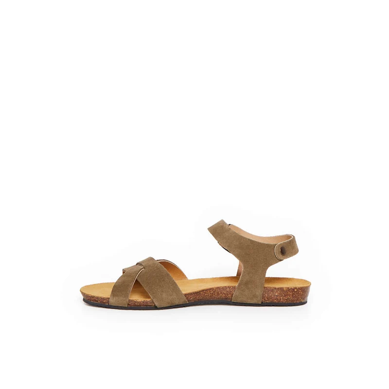 BREHAT KAKI