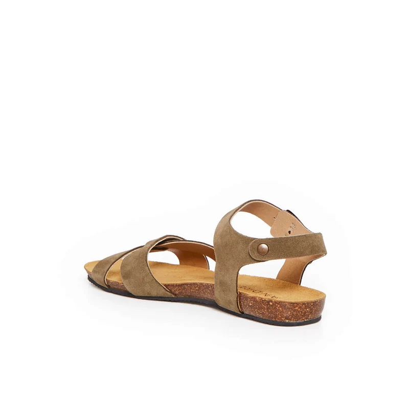 BREHAT KAKI