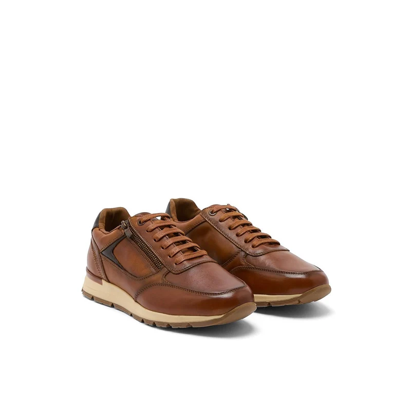 AUXENCE CAMEL