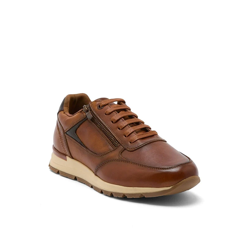 AUXENCE CAMEL