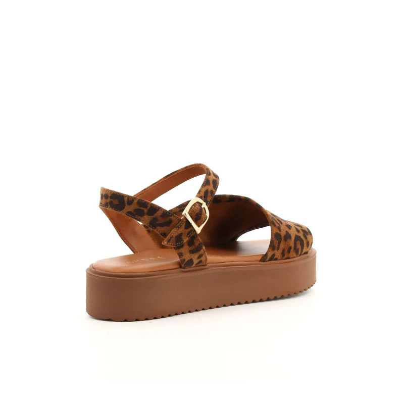 MYRTILLE LEOPARD