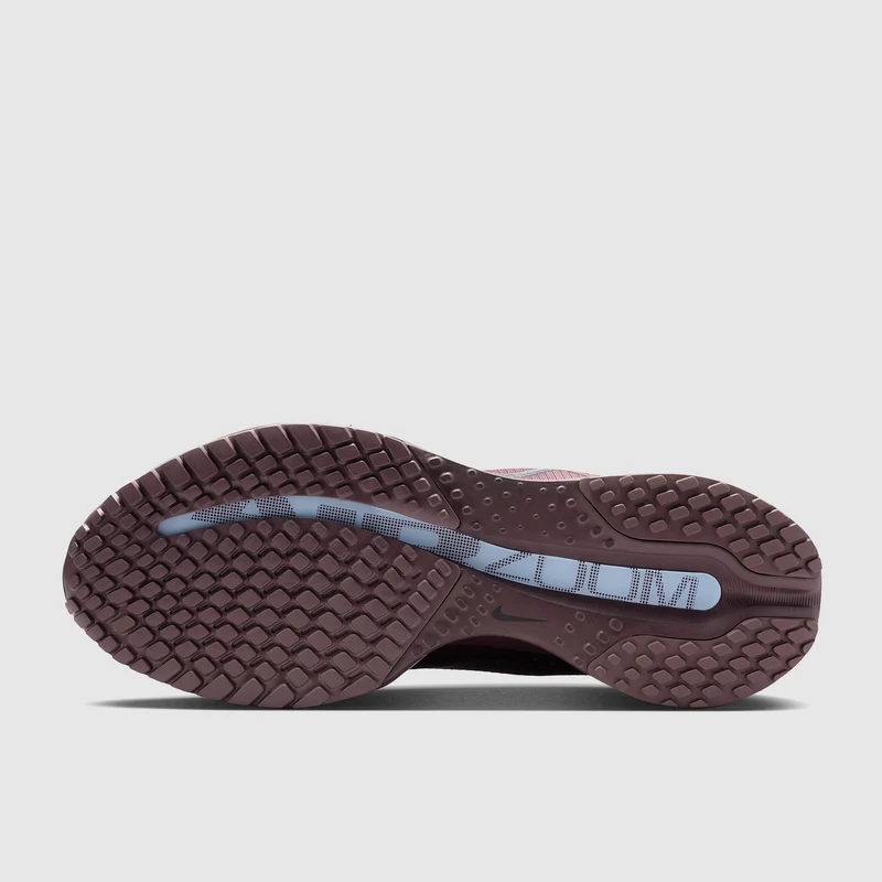 Nike Pegasus Premium pour Femme