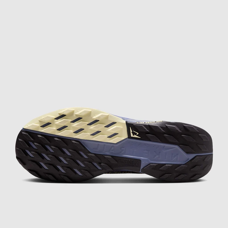 Nike Pegasus Trail 5 GORE-TEX Waterproof pour Femme