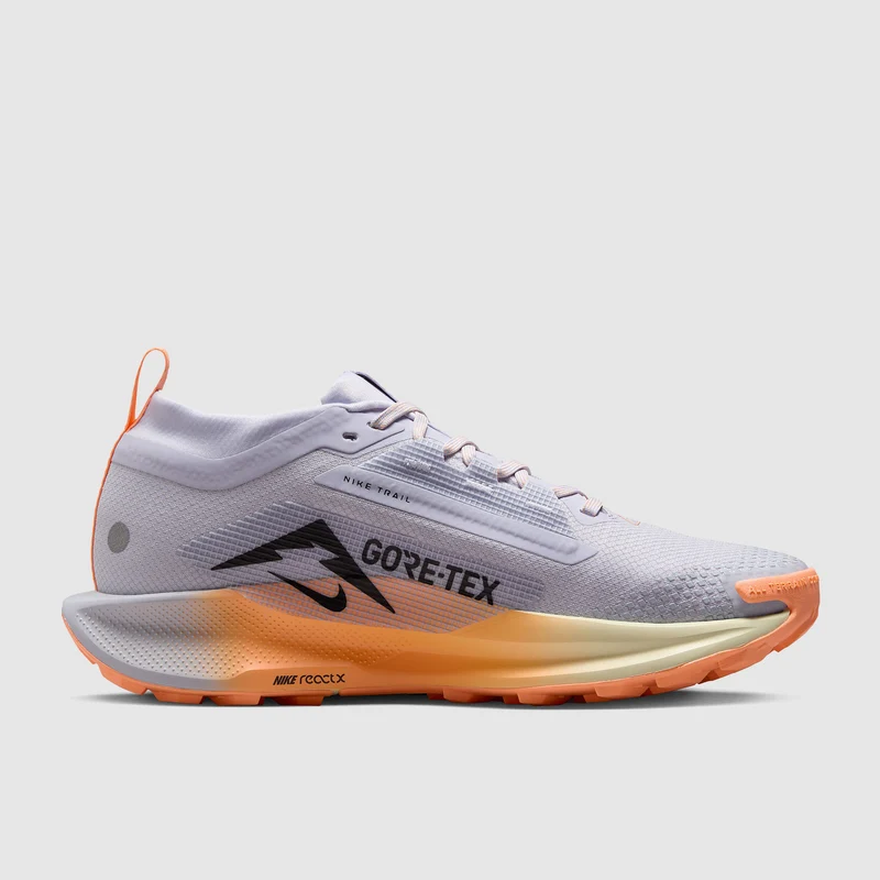 Nike Pegasus Trail 5 GORE-TEX Waterproof pour Femme