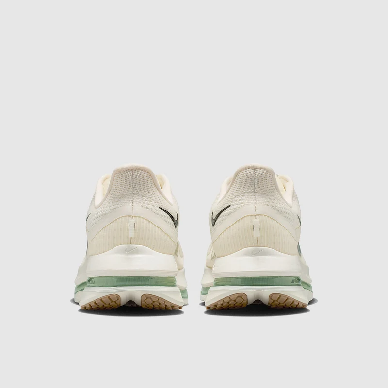 Nike Pegasus Premium