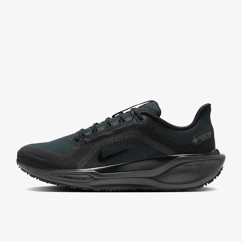 Nike Pegasus 41 GORE-TEX