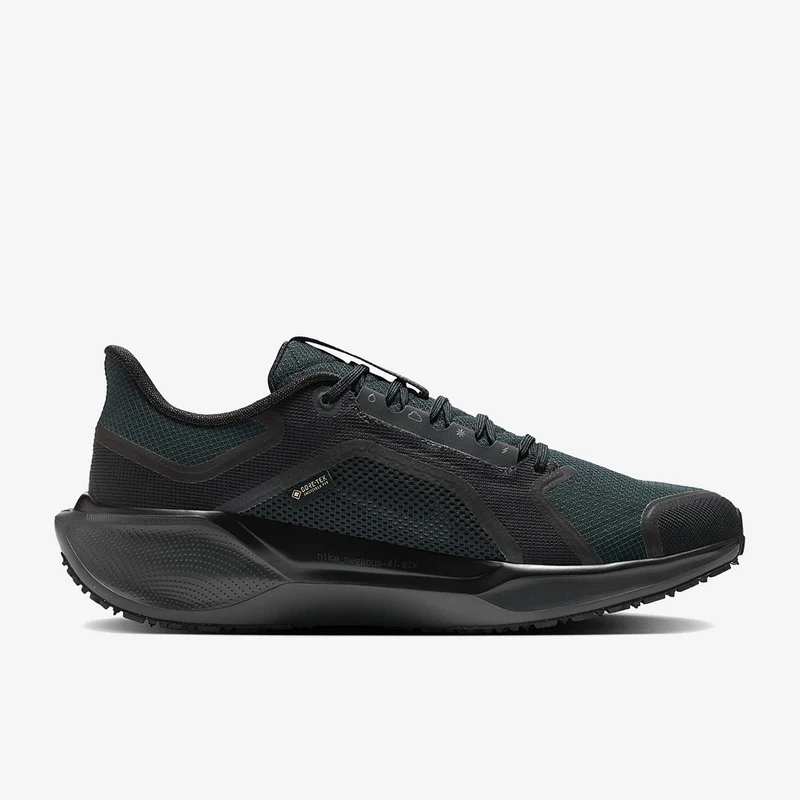 Nike Pegasus 41 GORE-TEX