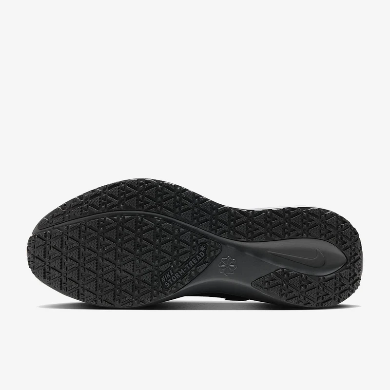 Nike Pegasus 41 GORE-TEX