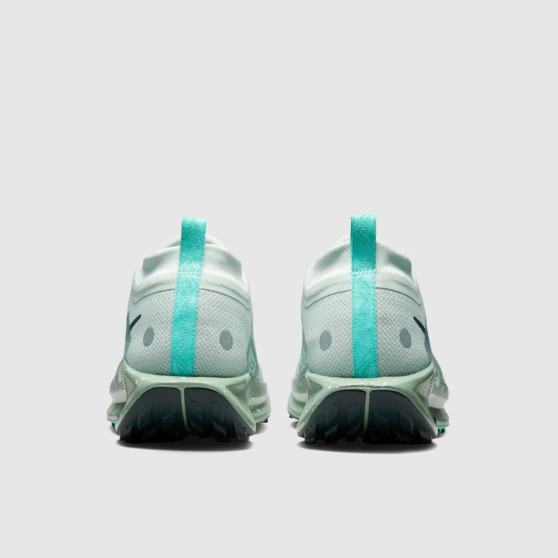 Nike Pegasus Trail 5 GORE-TEX Waterproof