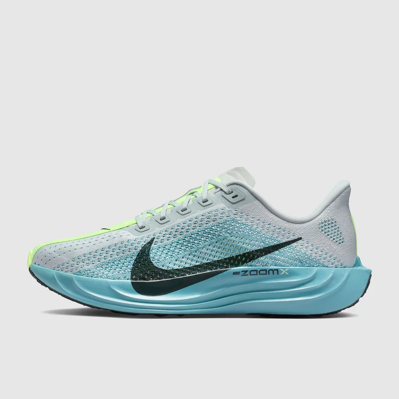 Nike Pegasus Plus