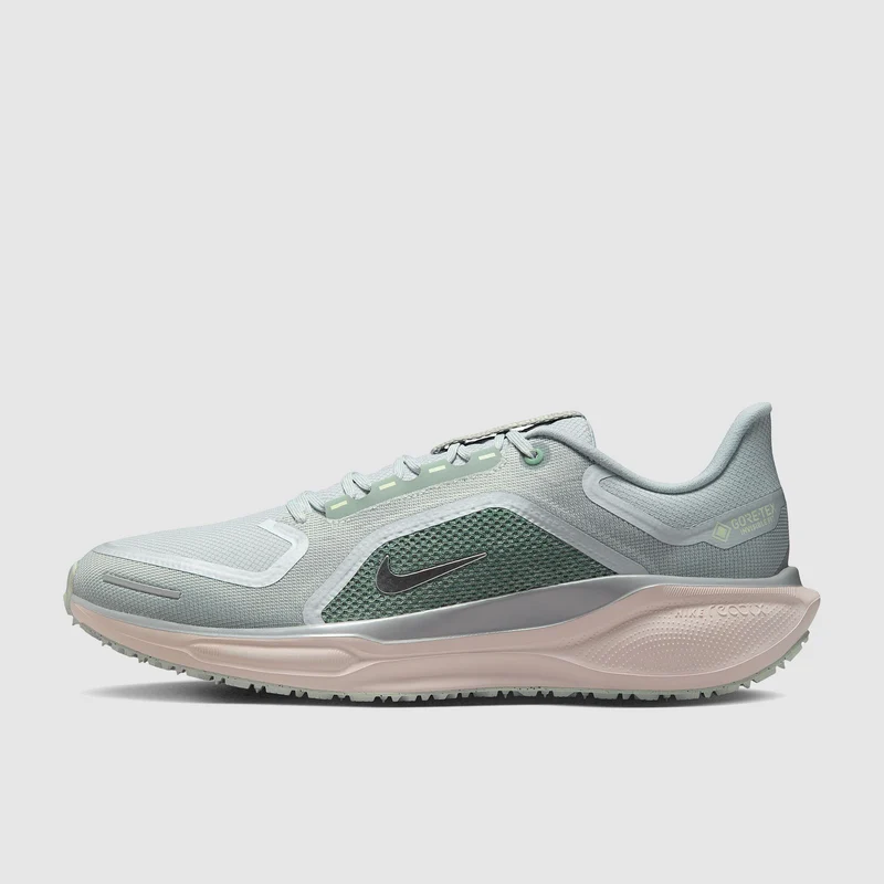 Nike Pegasus 41 GORE-TEX Waterproof