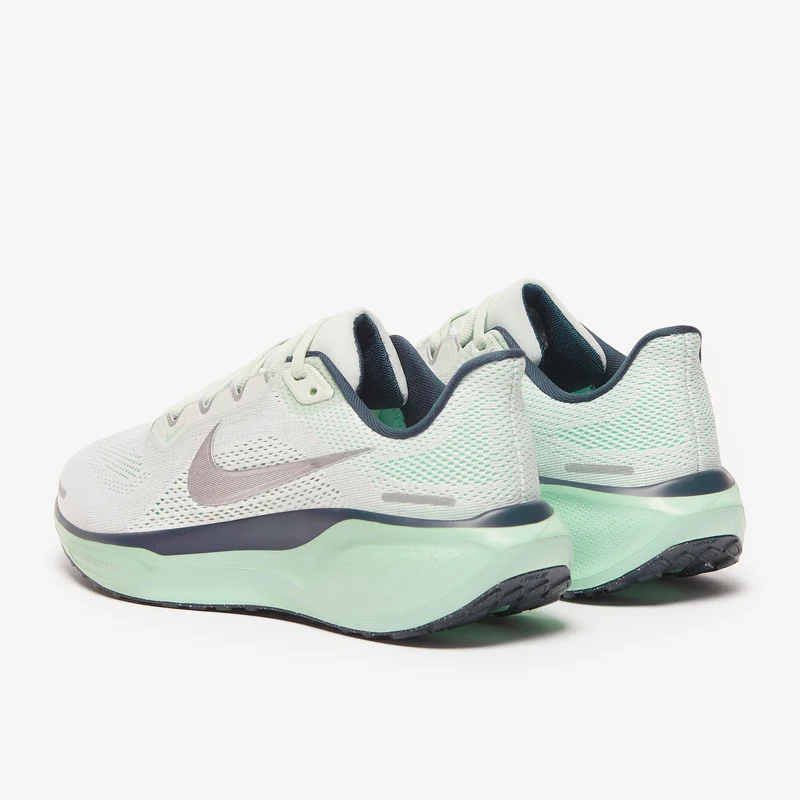 Nike Pegasus 41 pour Femme