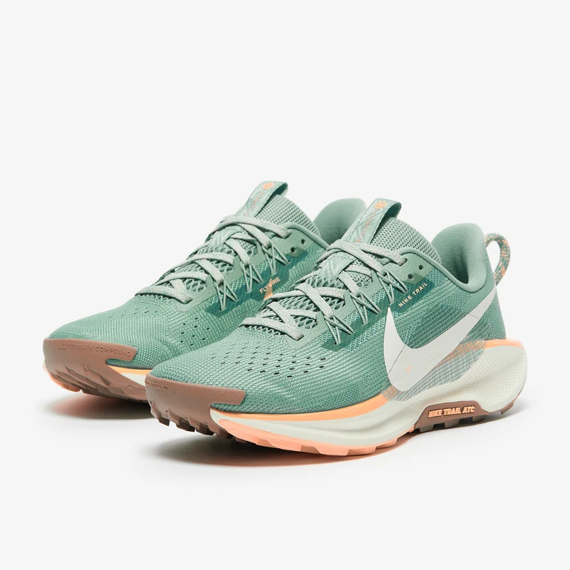 Nike Pegasus Trail 5 pour Femme
