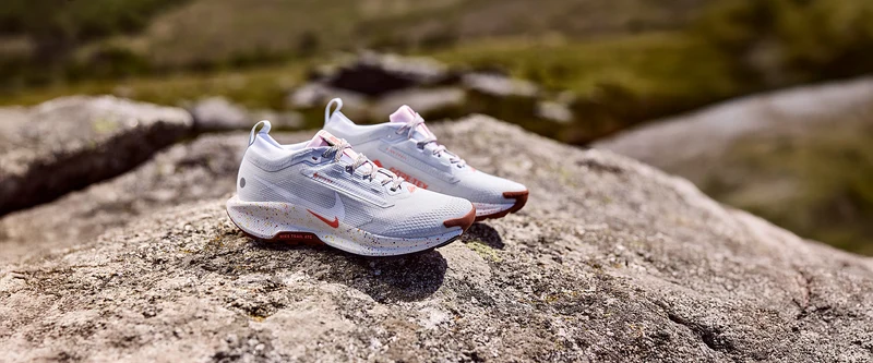Nike Pegasus Trail 5 GORE-TEX pour Femme