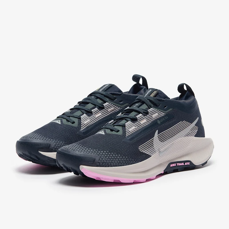 Nike Pegasus Trail 5 GORE-TEX pour Femme