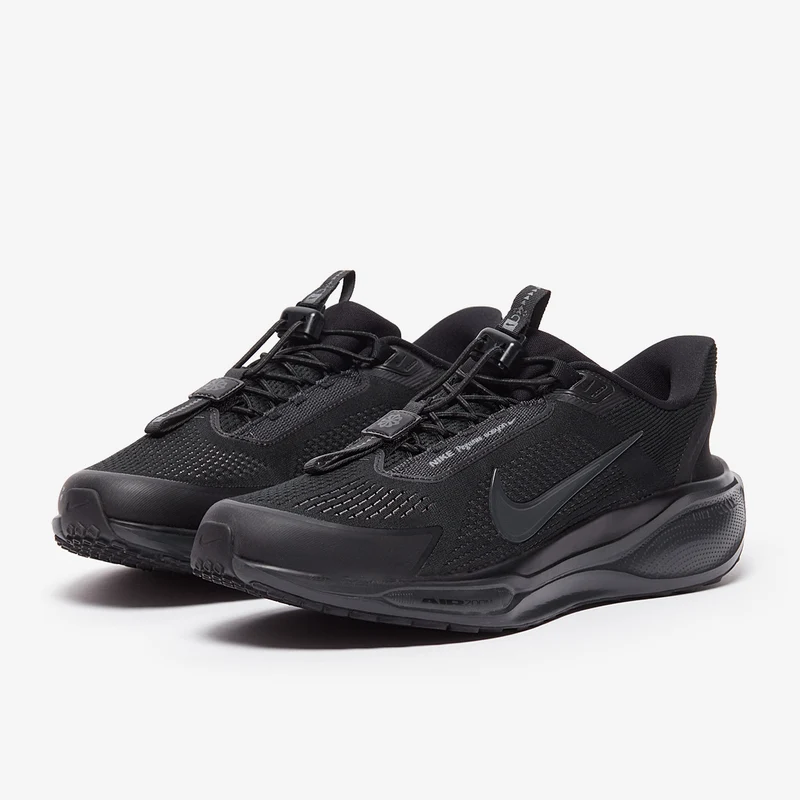 Nike Chaussure de running sur route pour homme Pegasus EasyO