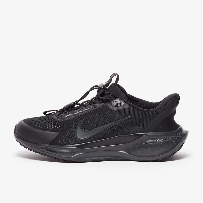 Nike Chaussure de running sur route pour homme Pegasus EasyO