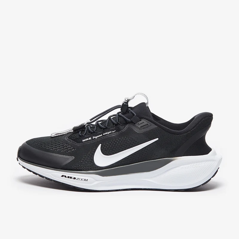 Nike Chaussure de running sur route pour homme Pegasus EasyO