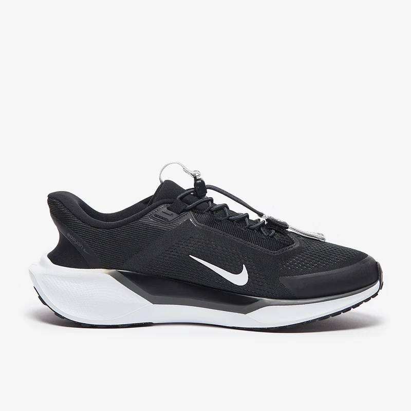 Nike Chaussure de running sur route pour homme Pegasus EasyO