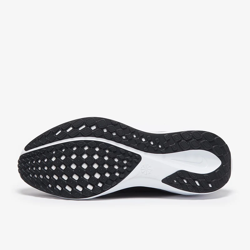 Nike Chaussure de running sur route pour homme Pegasus EasyO