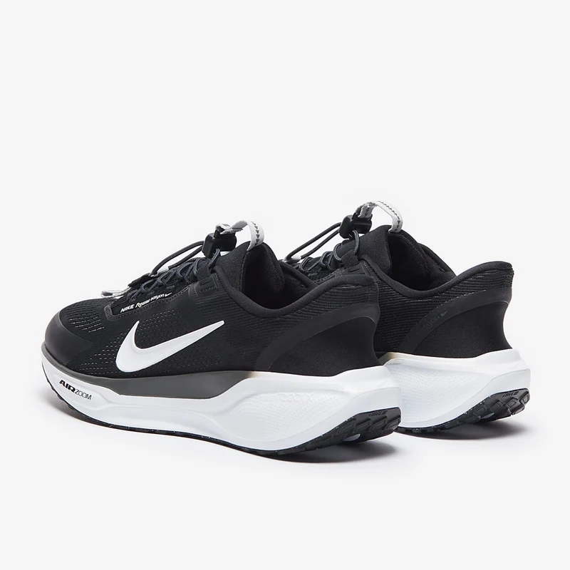 Nike Chaussure de running sur route pour homme Pegasus EasyO