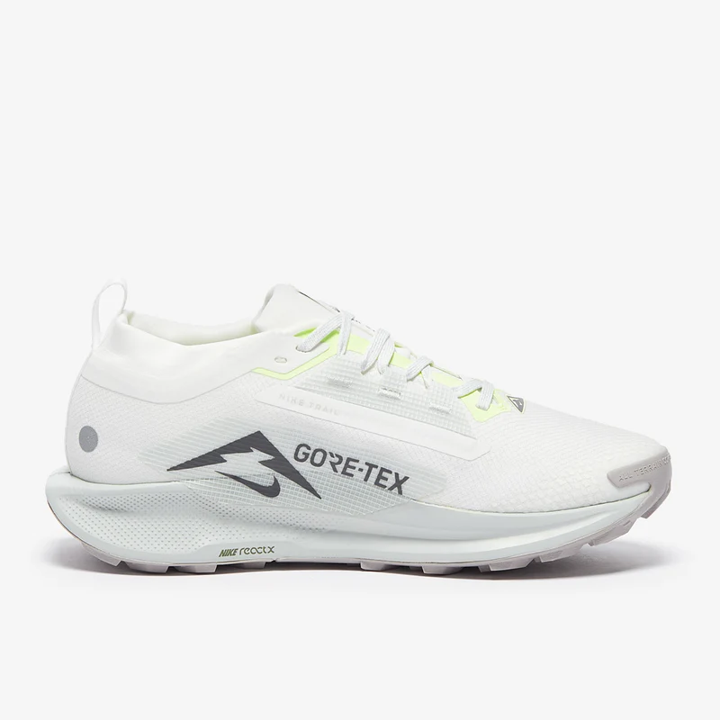 Nike Pegasus Trail 5 GORE-TEX
