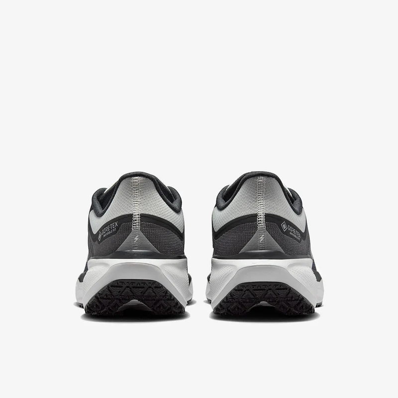 Nike Pegasus 41 GORE-TEX