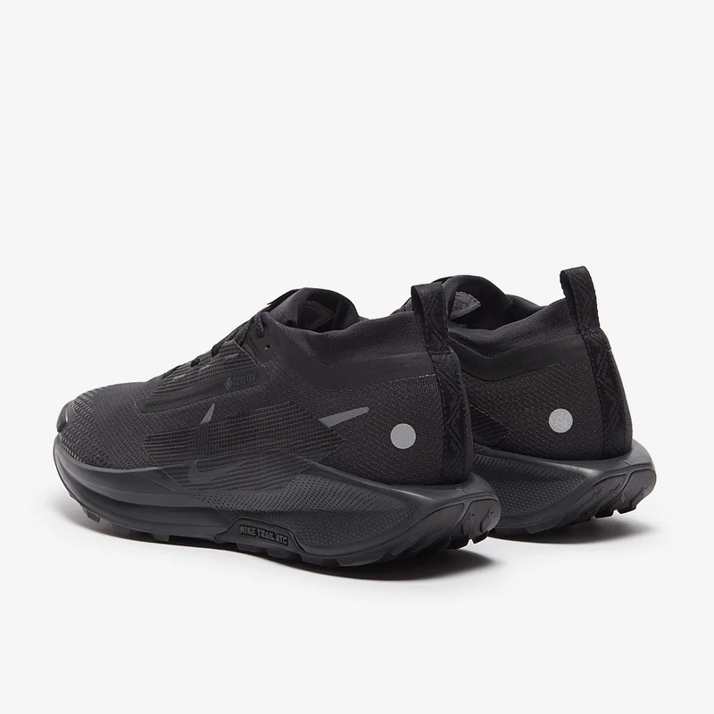 Nike Pegasus Trail 5 GORE-TEX
