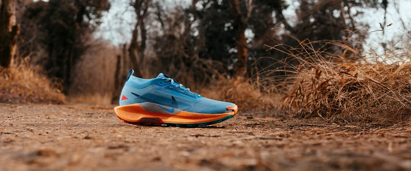 Nike Pegasus Trail 5 GORE-TEX pour Femme