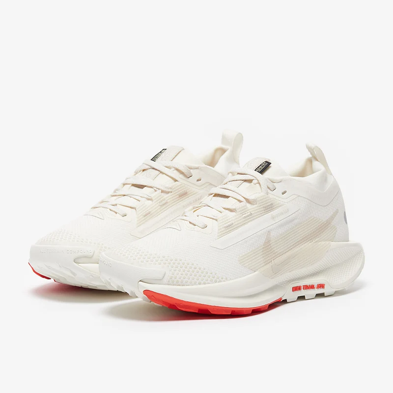 Nike Pegasus Trail 5 GORE-TEX pour Femme