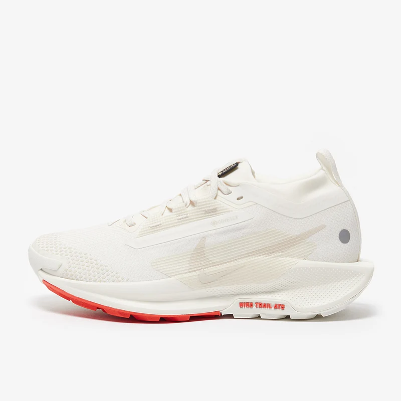 Nike Pegasus Trail 5 GORE-TEX pour Femme