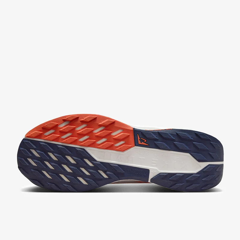 Nike Pegasus Trail 5 GORE-TEX
