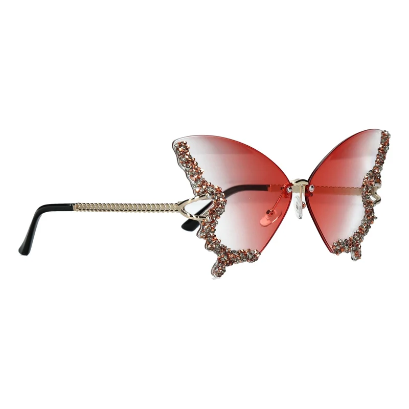 Lunettes de soleil Diona