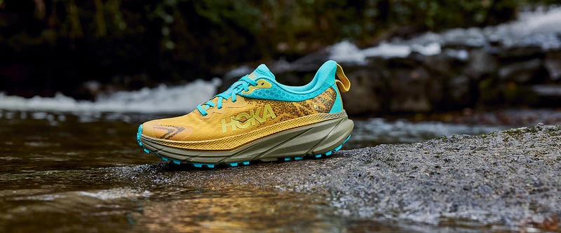 Hoka Challenger Atr 7 GTX - Jaune Doré/Avocat