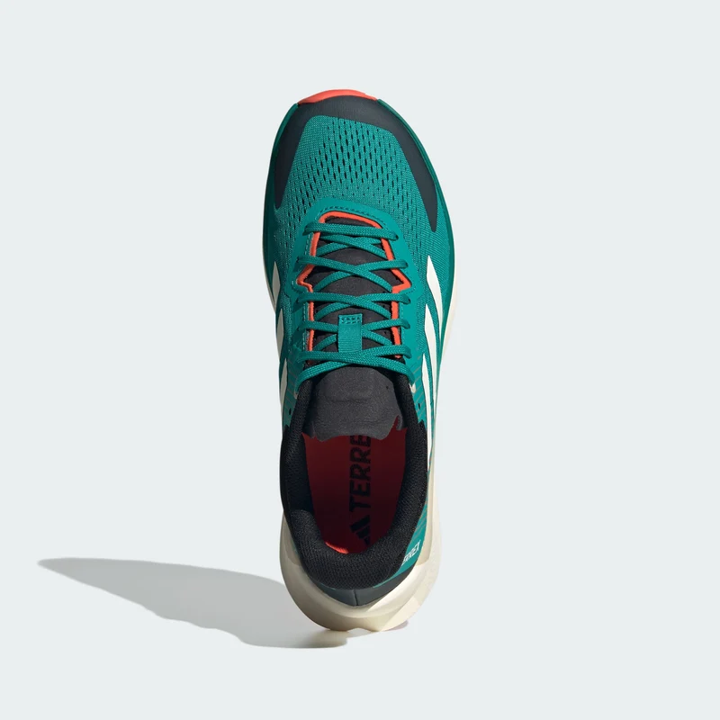 adidas Men Chaussure de trail running TERREX Soulstride Flow