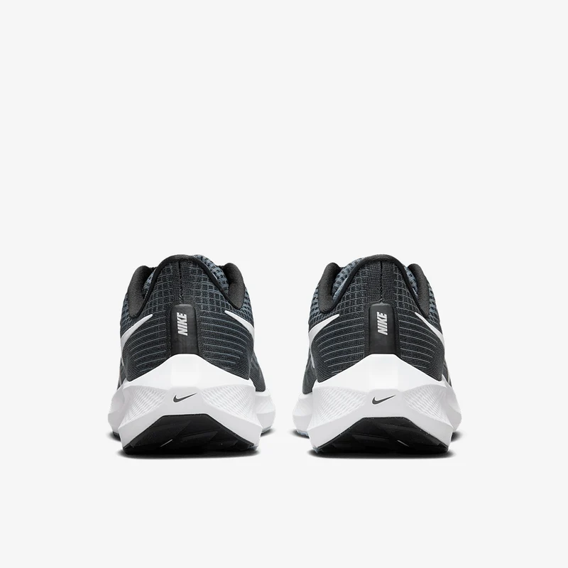 Nike Air Zoom Pegasus 39