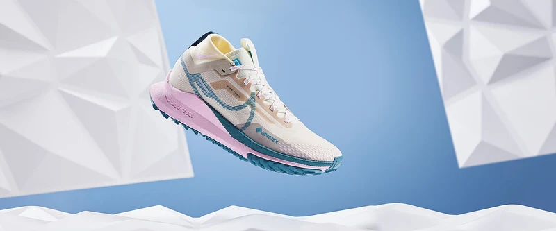 Nike Femme Pegasus Trail 4 Gore-Tex