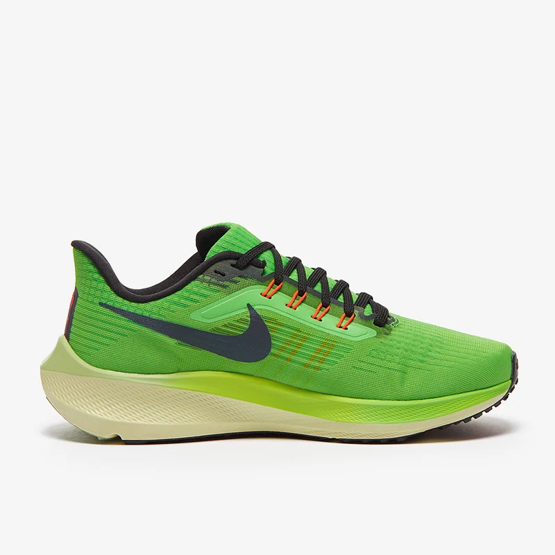 Nike Air Zoom Pegasus 39