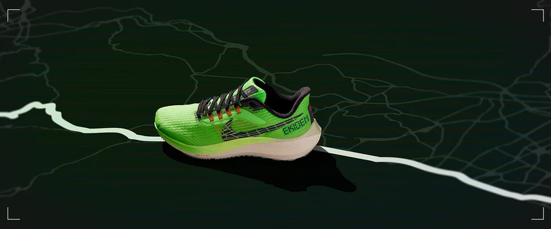 Nike Air Zoom Pegasus 39